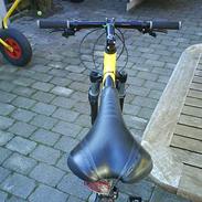 Scott scott scale 50