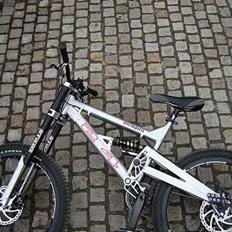 24 Bicycles LeDude