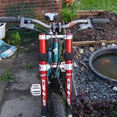 Santa Cruz Bullit