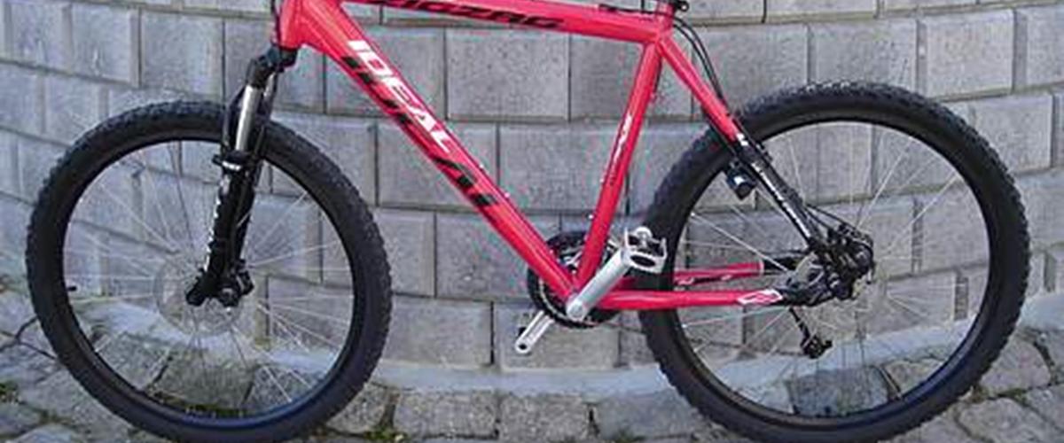 ideal zigzag mountain bike