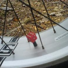 Schwinn Stingray