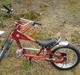 Schwinn Stingray