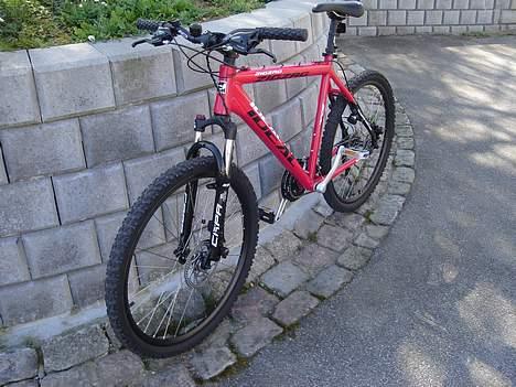 Ideal ZigZag 2007 billede 2