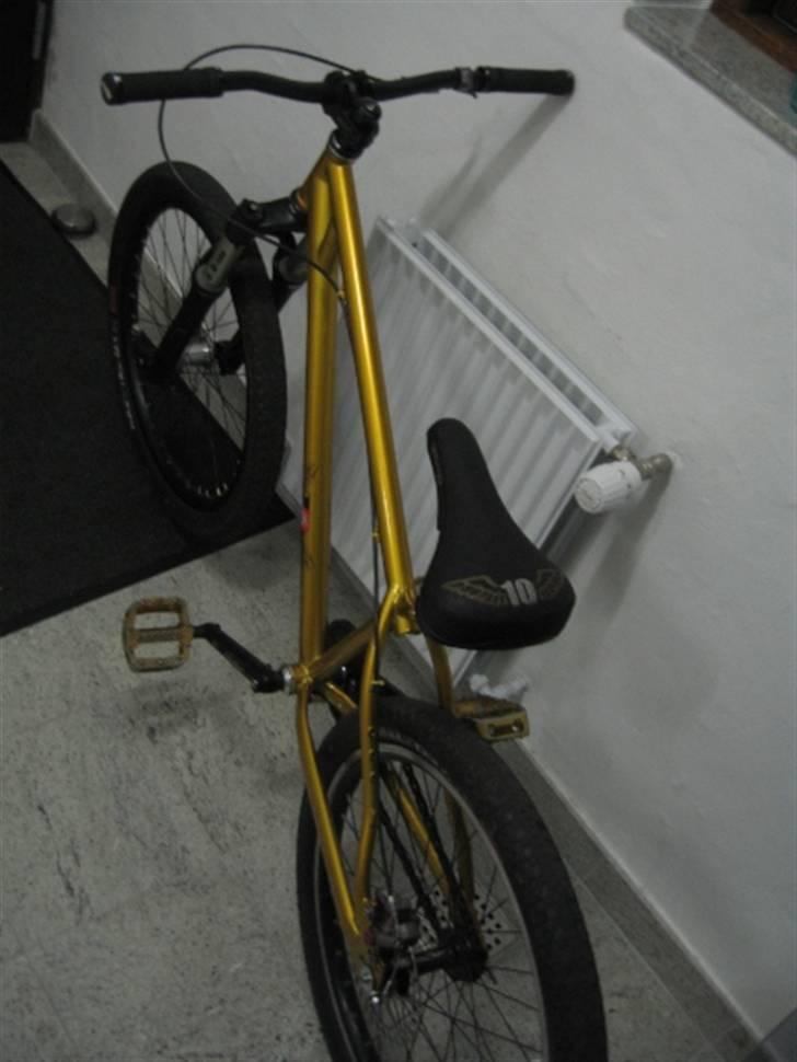 Duncon Pussy billede 1