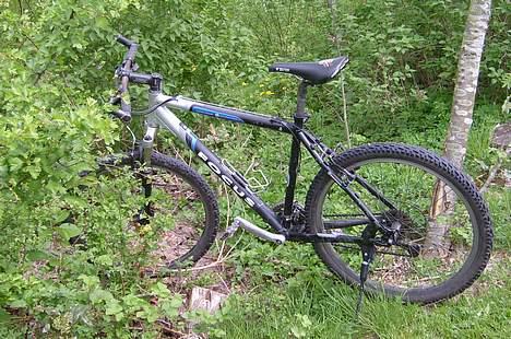 Focus Black Hills billede 1