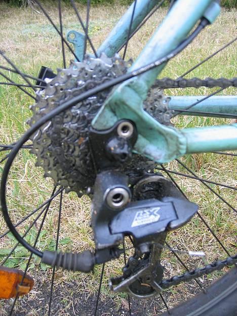 Bianchi Bianchi billede 3