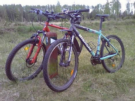 Bianchi Bianchi billede 6