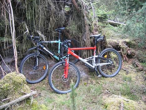 Bianchi Bianchi billede 7