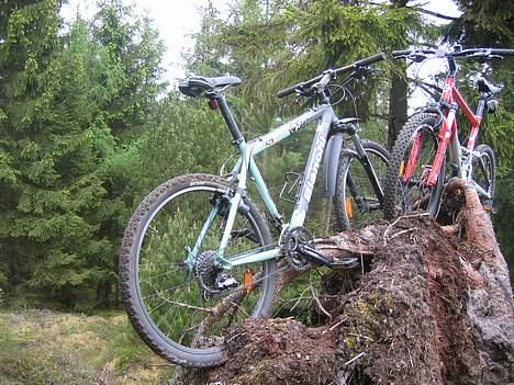 Bianchi Bianchi billede 8