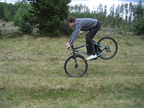 Bianchi Bianchi billede 9