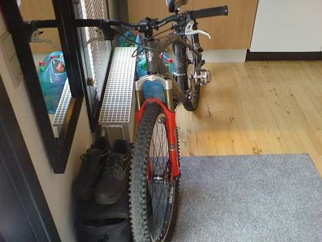 GT ruckus one point zero billede 6