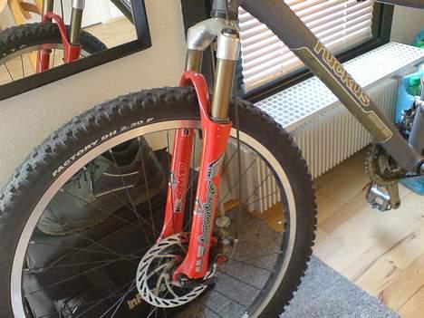 GT ruckus one point zero billede 7