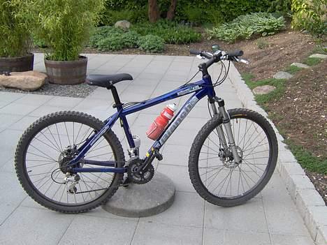 Bianchi DoSS 6100  - HEsten.. hele cyklen er lidt beskidt, har ikk lige gjordt den ren enu.. billede 1