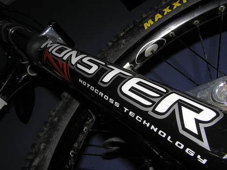 Specialized big hit billede 14