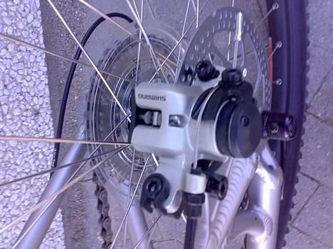 Specialized HRXC - bageste skive billede 2