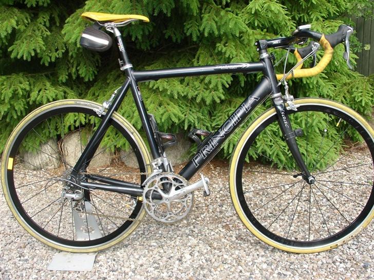 Principia REX E SX PRO billede 1