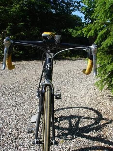 Principia REX E SX PRO billede 4