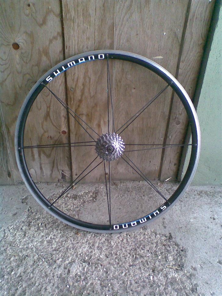 Peugeot Competition Campagnolo billede 9