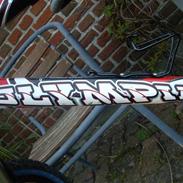 Olympia EVO-R2