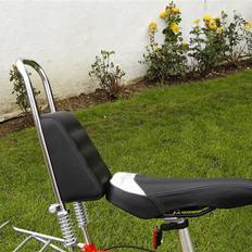 Raleigh Mark 3