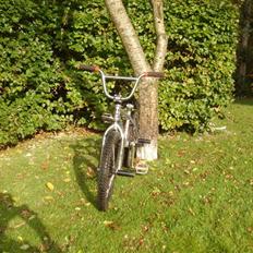 Schwinn lavin 1000 (solgt)