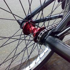 Mirraco Black Pearl LTD