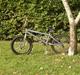 Schwinn lavin 1000 (solgt)