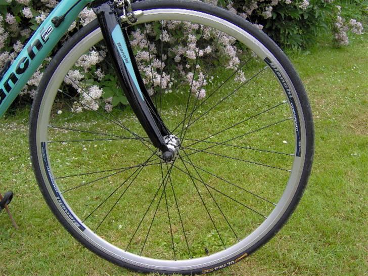 Bianchi Reportocorse RC billede 5