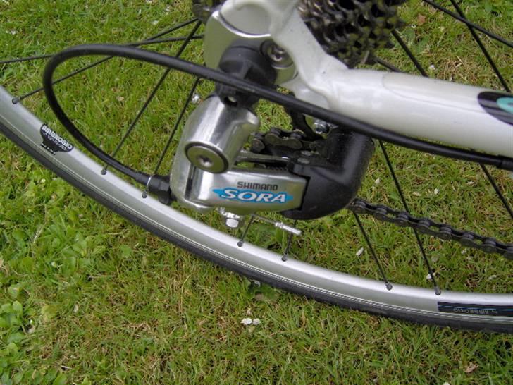 Bianchi Reportocorse RC billede 8