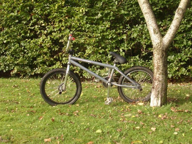 Schwinn lavin 1000 (solgt) billede 1