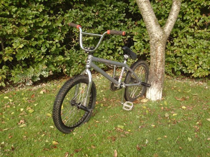 Schwinn lavin 1000 (solgt) billede 2