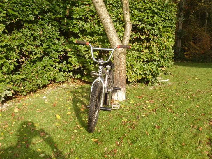 Schwinn lavin 1000 (solgt) billede 3