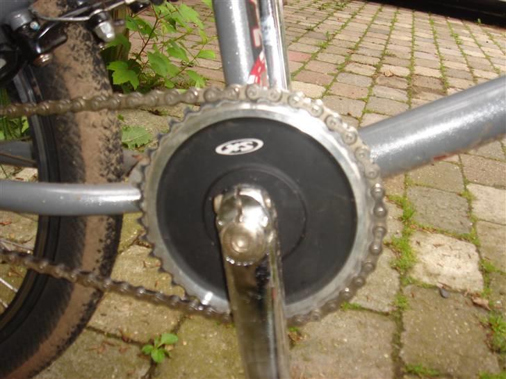 Schwinn lavin 1000 (solgt) billede 4