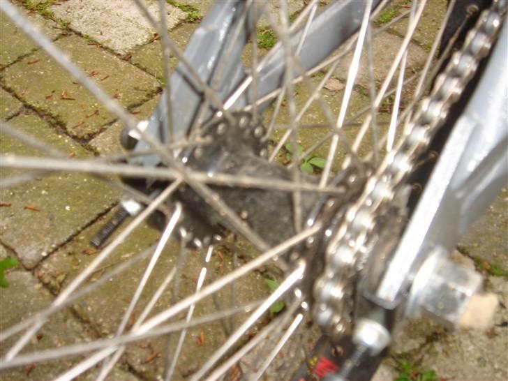 Schwinn lavin 1000 (solgt) billede 6