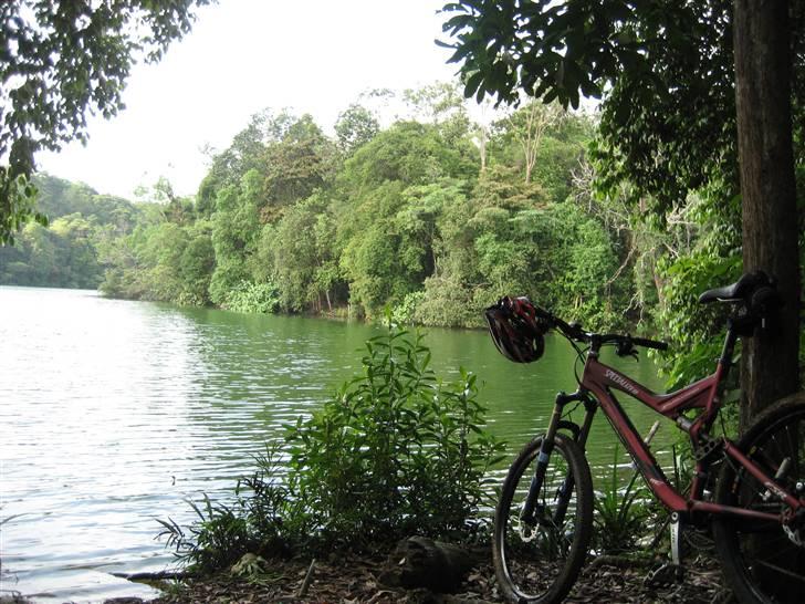 Specialized FSR Pro billede 13