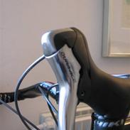 Nishiki Team Carbon 07