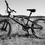 Schwinn Predator.