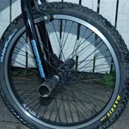 Schwinn Predator.