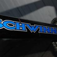 Schwinn Predator.
