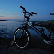 Schwinn Predator.