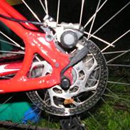 Specialized Rockhopper Disc