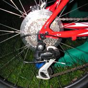 Specialized Rockhopper Disc