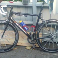 T-bikes T-bullshark
