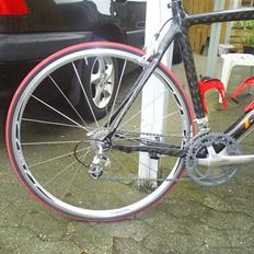 T-bikes T-bullshark