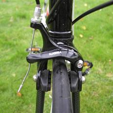 Busetto Tour Pro