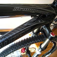 Specialized Stumpjumper Carbon
