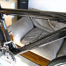 Specialized Stumpjumper Carbon