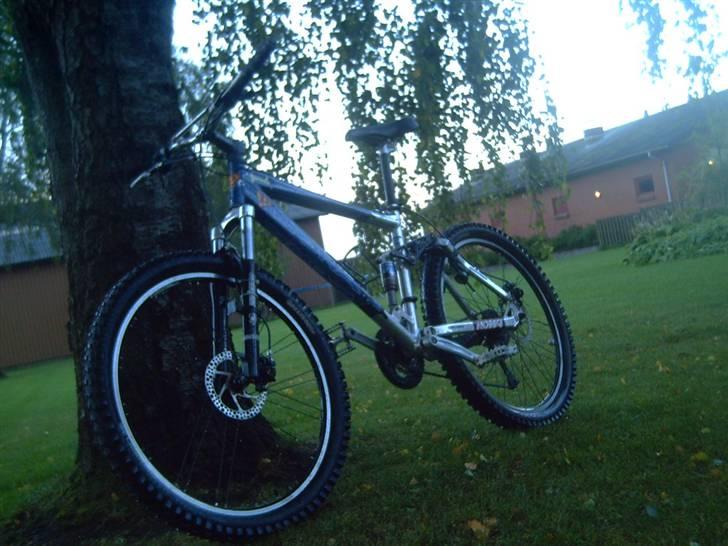 Kona dawg matic Solgt billede 2