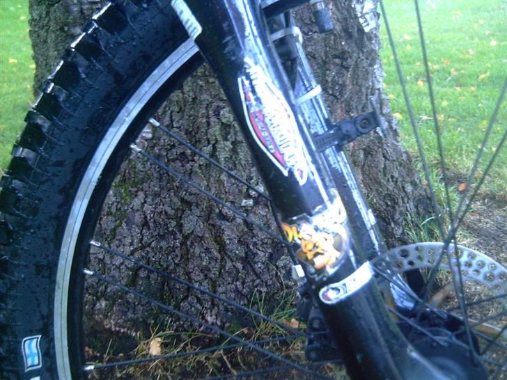 Kona dawg matic Solgt billede 8