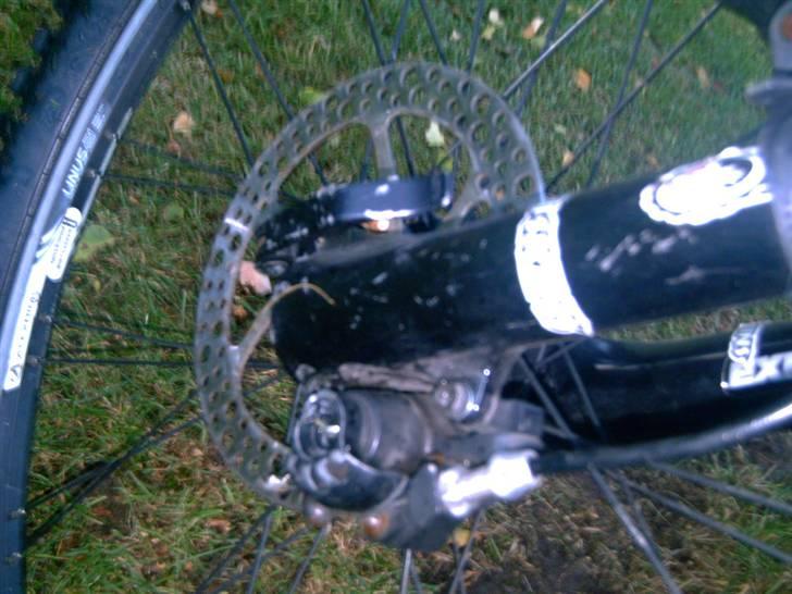 Kona dawg matic Solgt billede 13